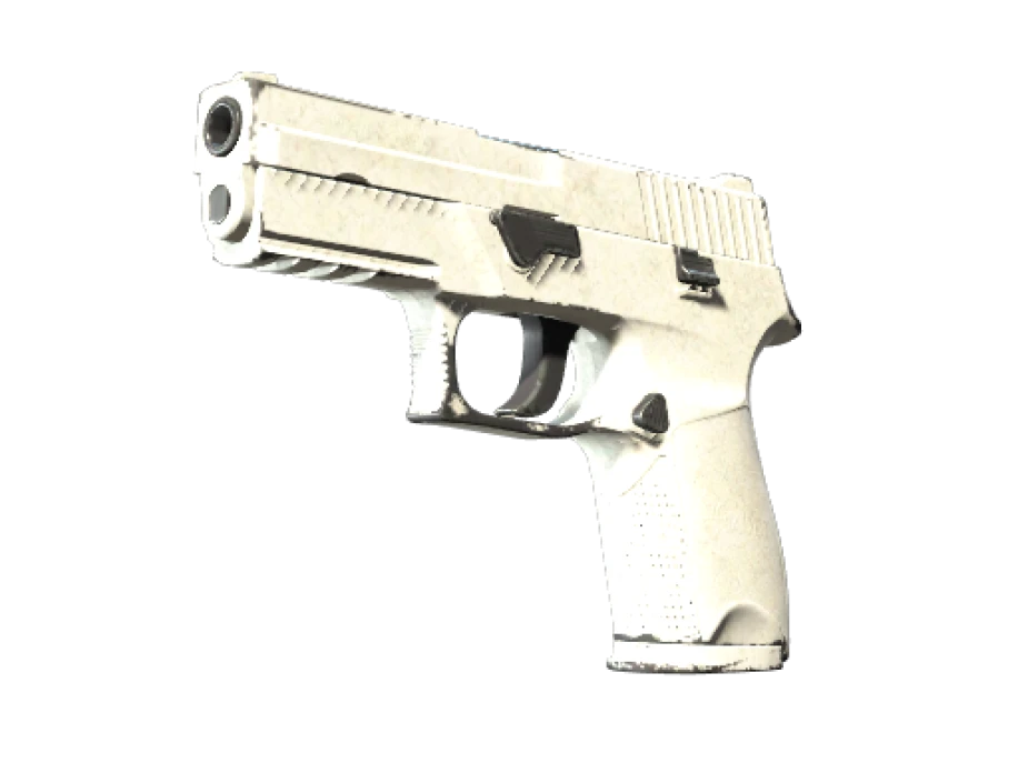 P250 | Whiteout (Well-Worn)