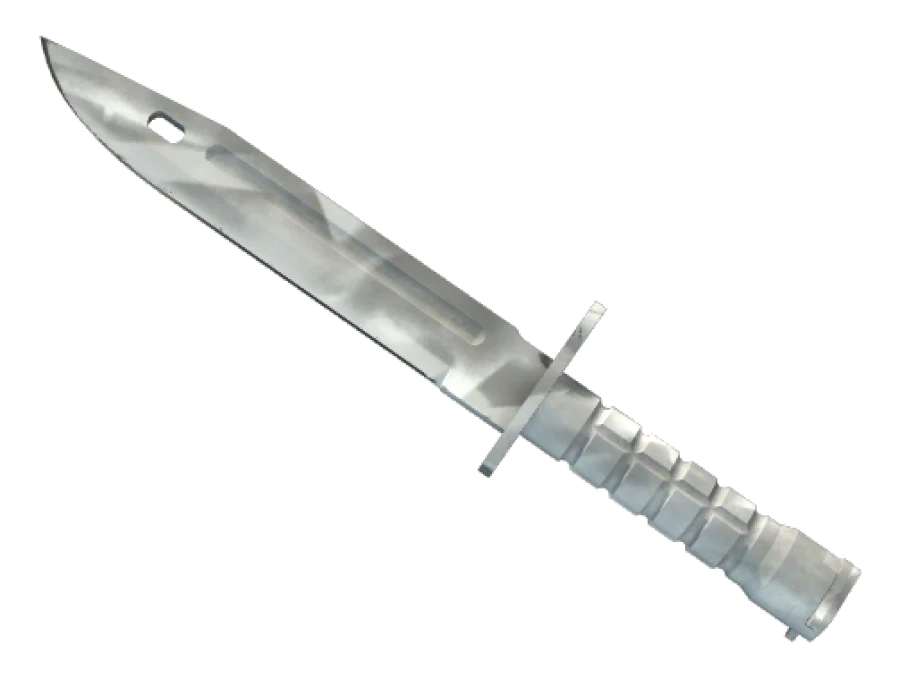 ★ Bayonet | Urban Masked (Minimal Wear)