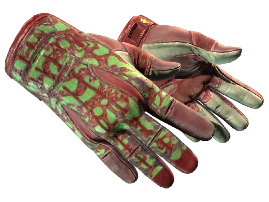 ★ Sport Gloves | Bronze Morph (Well-Worn)